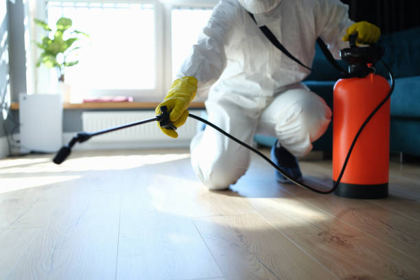 Reliable Odor Removal contractor in Weaverville, NC by Crime Scene Cleaner Online